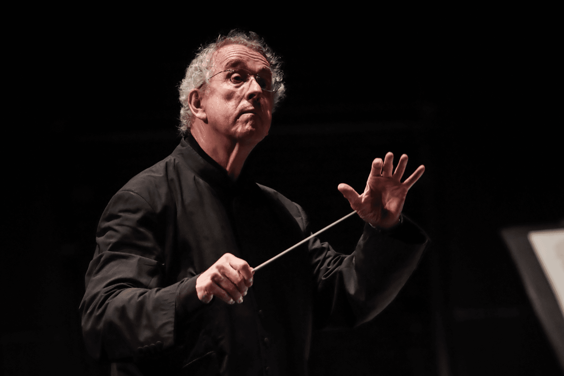Sinfonia doméstica de Strauss