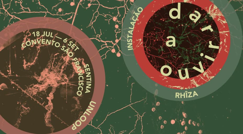 RHÎZA | Coletivo Unloop (David Negrão & Sara Montalvão)