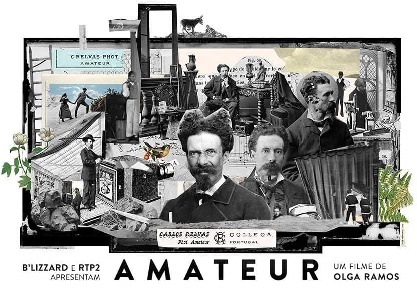 AMATEUR, DE OLGA RAMOS