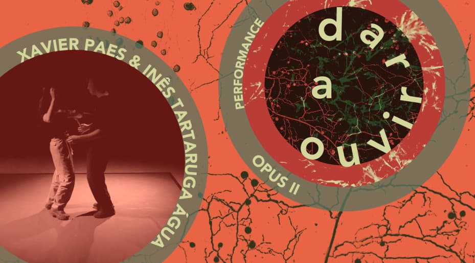 OPUS II | Xavier Paes & Inês Tartaruga Água
