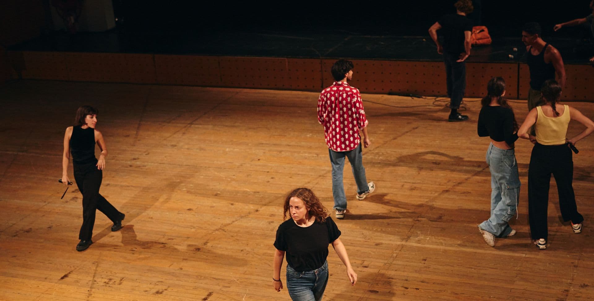 A Cantora Careca